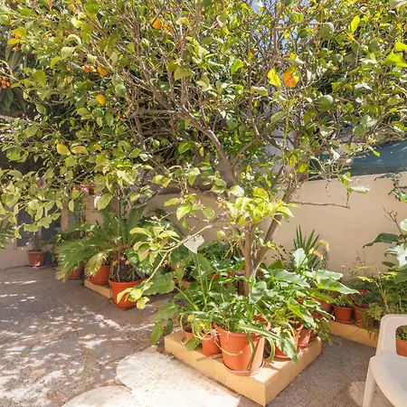 Holiday home Casa Do Sol - Estombar, Algarve *
